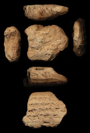 N4339