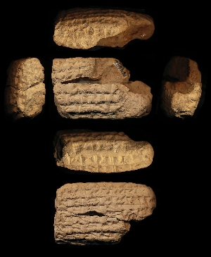 N4342