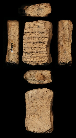 N4347