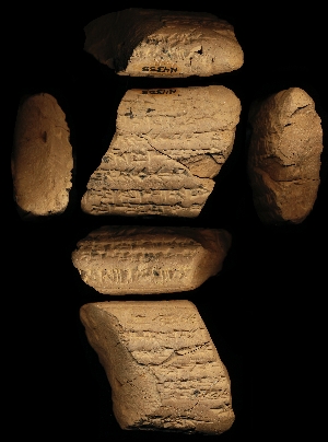 N4353