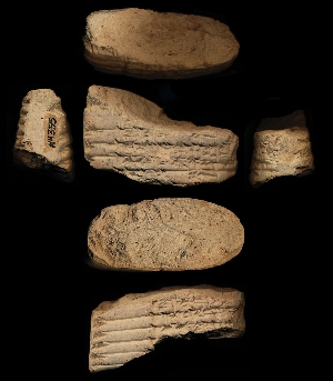 N4355