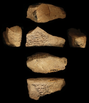 N4361