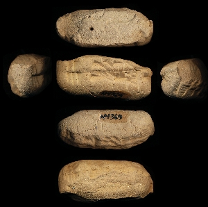 N4369