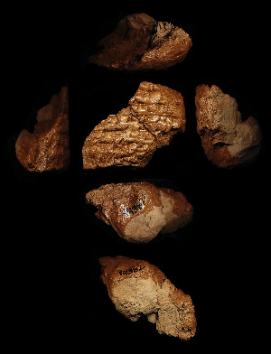 N4382
