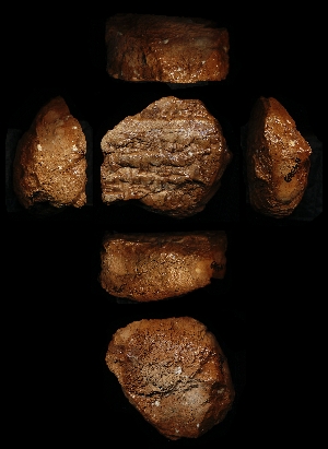 N4389