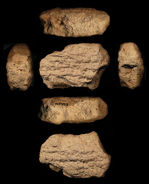 N4393