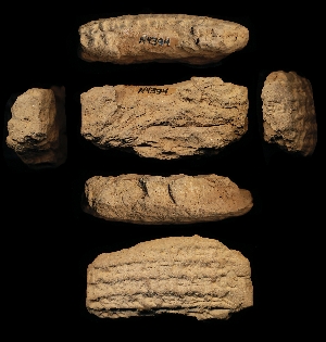 N4394