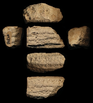 N4398