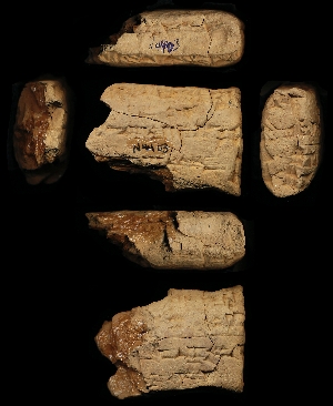 N4403