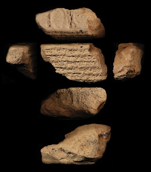 N4411