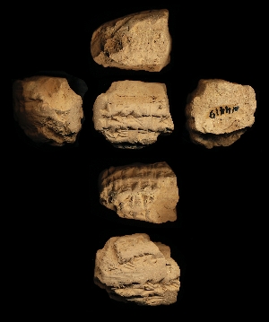 N4419