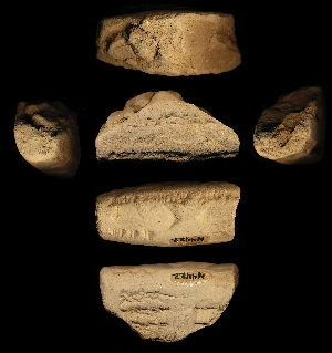 N4422
