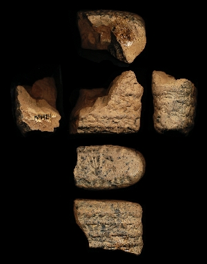 N4424
