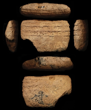 N4429