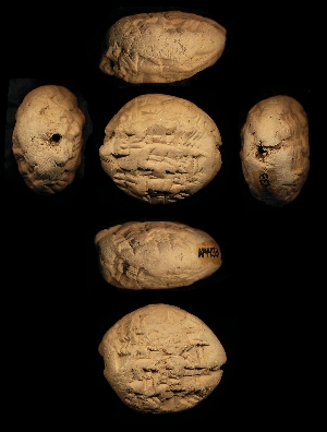 N4433