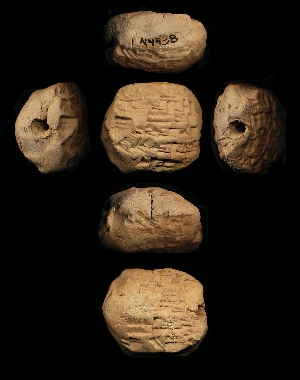 N4438