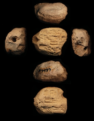 N4439