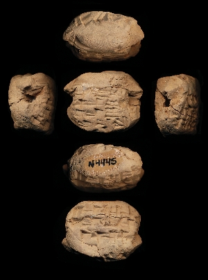 N4445
