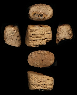 N4448