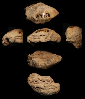 N4458