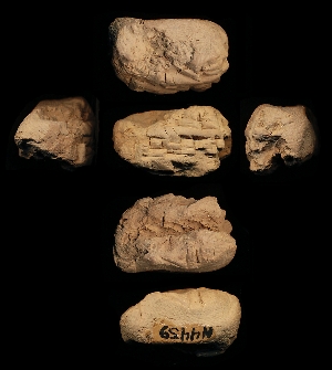 N4459