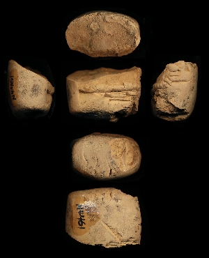 N4461