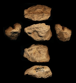 N4465