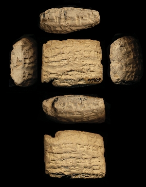 N4466