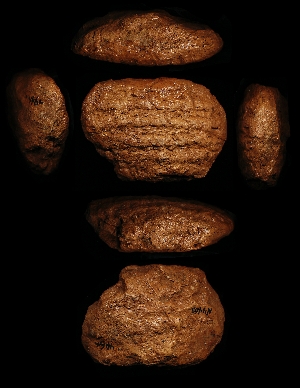 N4469