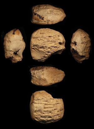 N4482