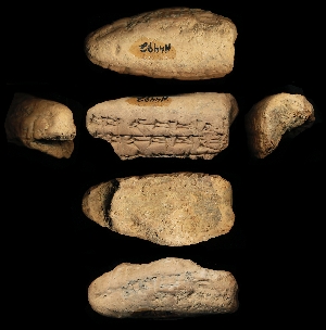 N4492