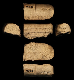 N4494