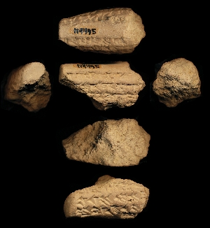 N4495