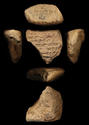 N4497