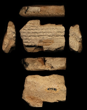 N4499