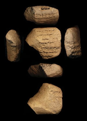 N4505