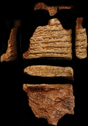 N4512