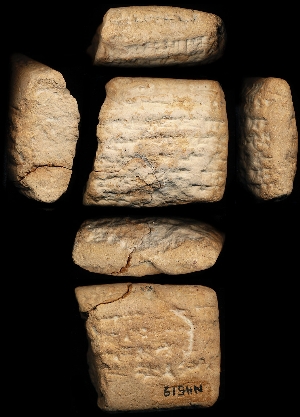N4519