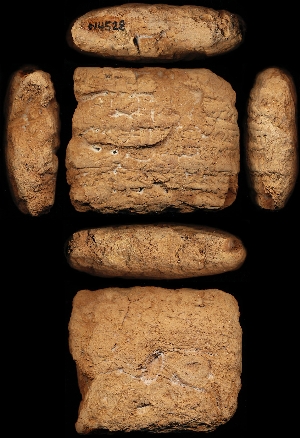 N4528