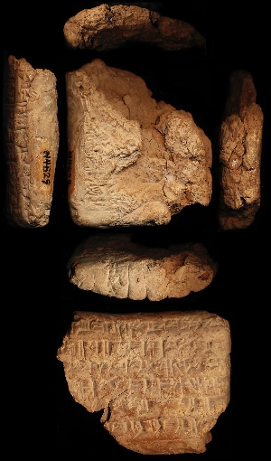 N4529