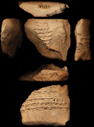 N4530