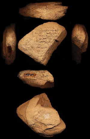 N4542
