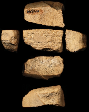 N4544