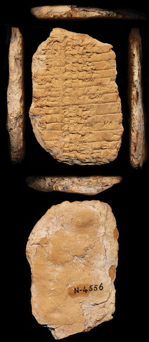 N4556