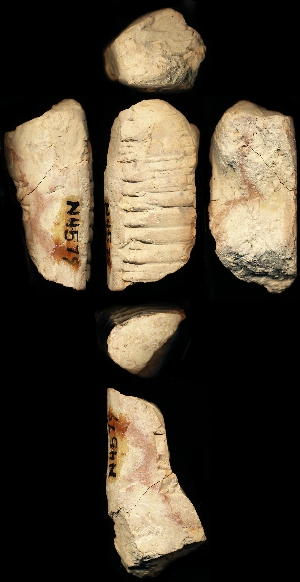 N4579