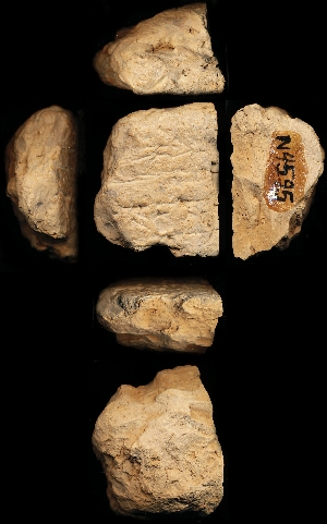 N4595