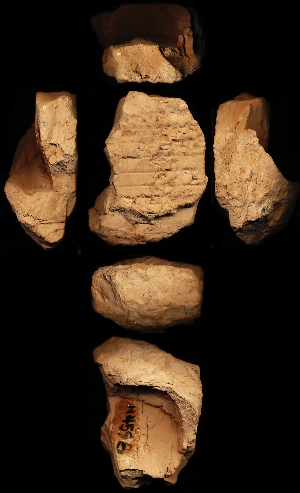 N4598