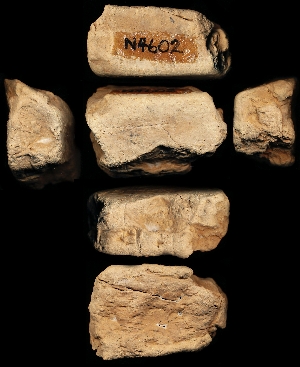 N4602