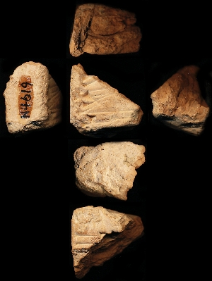 N4619