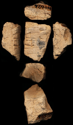 N4626